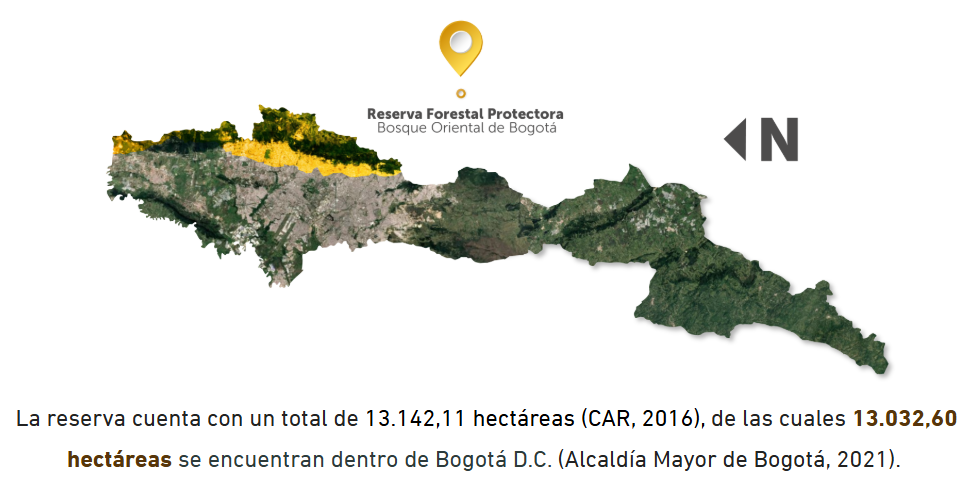 Reserva Forestal Protectora Bosque Oriental