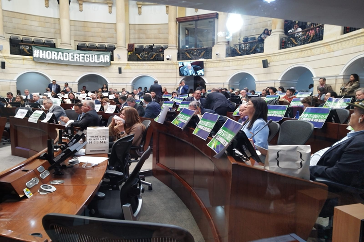 Día internacional de los DDHH y su relación con el uso de cannabis en Colombia