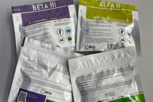 Aumentó precio del cannabis en farmacias del Uruguay