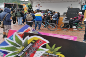 Informe Especial: El uso del cannabis y su relación con los derechos humanos en Colombia