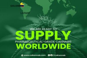 Colkannab lidera suministro global de cannabis medicinal desde Colombia