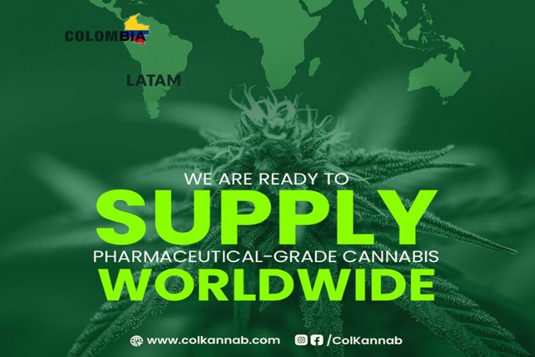 Colkannab lidera suministro global de cannabis medicinal desde Colombia