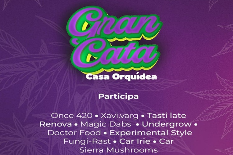 Cata Cannábica en Casa Orquídea, una experiencia sensorial elevada