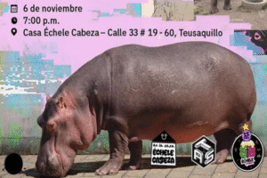 Microdosis para domar el hipopótamo interior, una exposición de Échele Cabeza