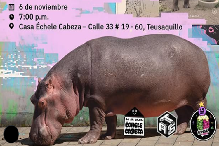 Microdosis para domar el hipopótamo interior, una exposición de Échele Cabeza