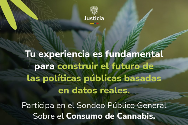 MinJusticia lanzó sondeo nacional para caracterizar consumo colectivo de cannabis en Colombia