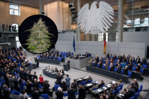 Alemania debatirá restricciones a envíos y telemedicina de cannabis en 2026