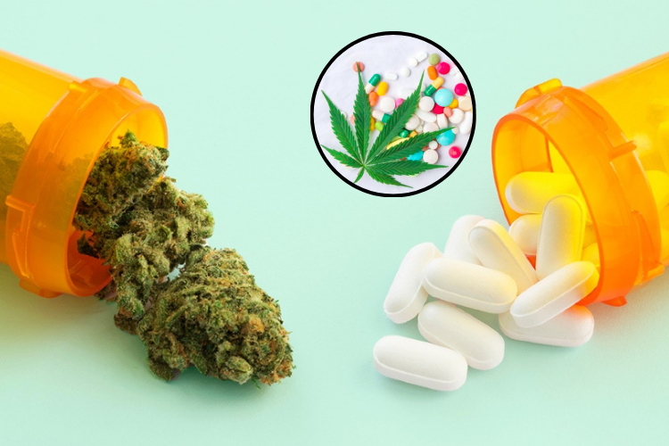 CBIH busca patentar terapia contra adicción a opioides basada en vías endocannabinoides