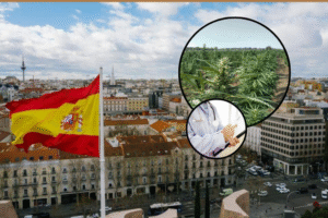 España reguló el acceso a preparados estandarizados de cannabis bajo prescripción-