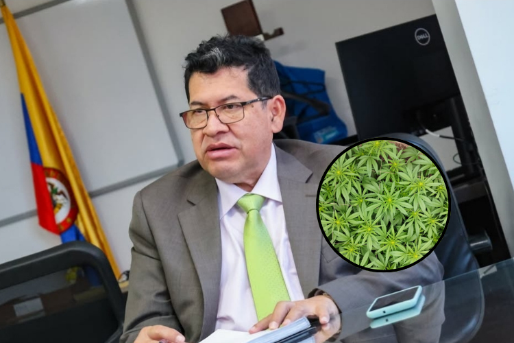 FNE agilizó trámite para exportación de derivados no psicoactivos de cannabis a Brasil