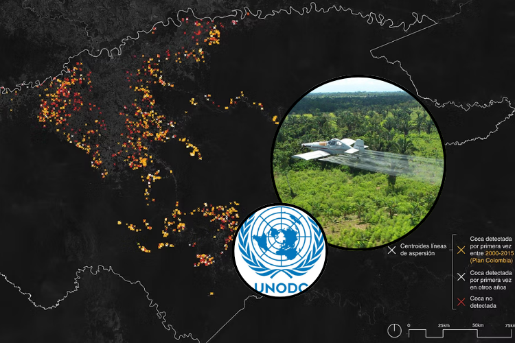 ONU estaría inflando sistemáticamente cultivos de coca en Colombia según científicos.