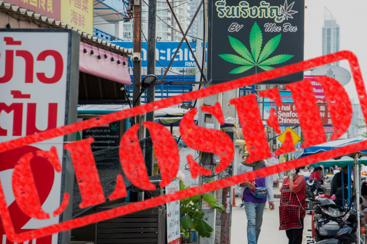 7.000 tiendas de cannabis cerraron en Tailandia durante 2025 ¿corrección del mercado?
