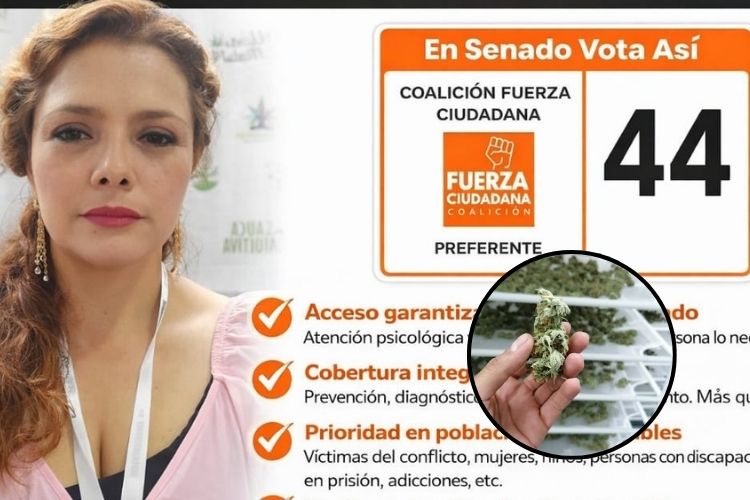 Marcela Fúquene al Senado con enfoque en salud mental, economía rural y cannabis regulado