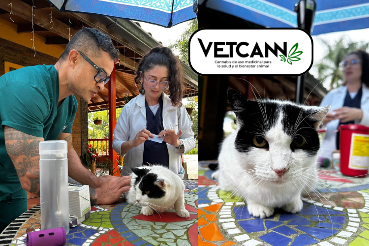 One Health, una revolución en medicina veterinaria con el doctor Jhon J. Betancurt Rendón_