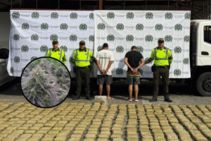 Policia incautó 1.400 kilos de "kripy" provenientes del Cauca, en la vía Bogotá-Villavicencio