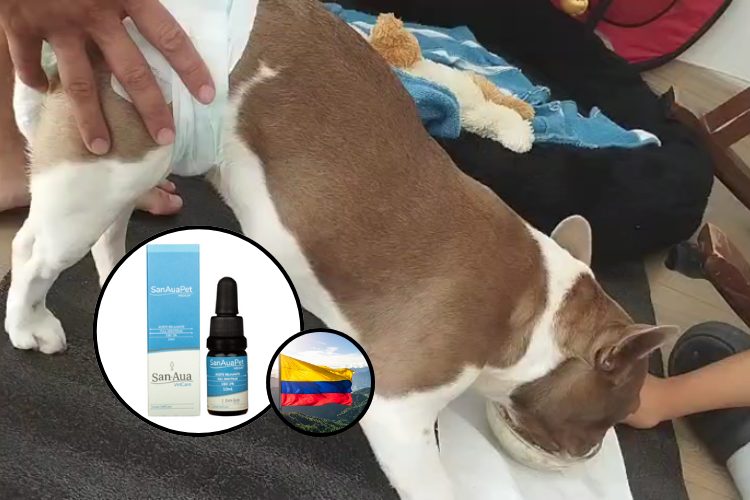 SanAua Pet para el bienestar animal, cannabis medicinal de uso veterinario