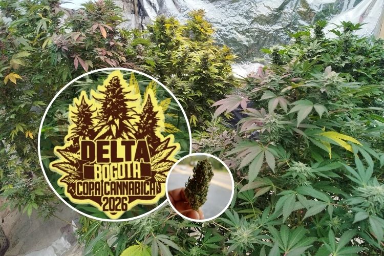 Copa Delta Bogotá 2026 reinventa la competencia con Batalla de Catas y Red Cups