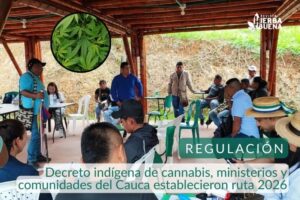 Decreto indígena de cannabis, ministerios y comunidades del Cauca establecieron ruta 2026