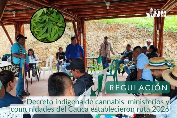 Decreto indígena de cannabis, ministerios y comunidades del Cauca establecieron ruta 2026