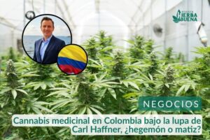 Cannabis medicinal en Colombia bajo la lupa de Carl Haffner, ¿hegemón o matiz?