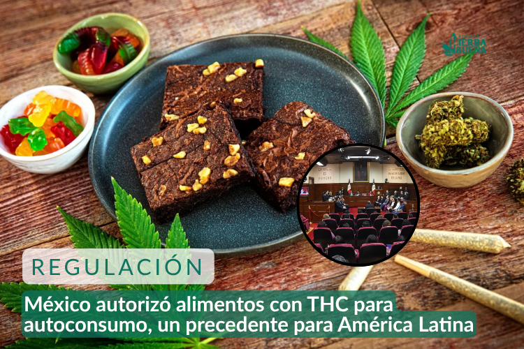 México autorizó alimentos con THC para autoconsumo y marca un precedente para América Latina
