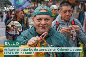 Así son los usuarios de cannabis en Colombia, según CESED de los Andes