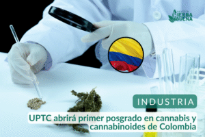 UPTC abrirá primer posgrado en cannabis y cannabinoides de Colombia