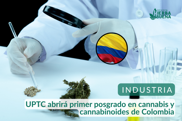 UPTC abrirá primer posgrado en cannabis y cannabinoides de Colombia