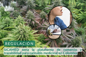 SICAMED sería la plataforma de comercio y trazabilidad para cannabis medicinal en Colombia