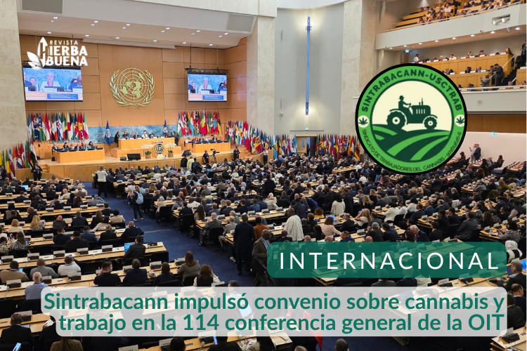 Sintrabacann impulsó convenio sobre cannabis y trabajo en la 114 conferencia general de la OIT