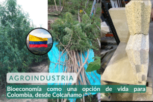 Bioeconomía como una opción de vida para Colombia, desde Colcañamo