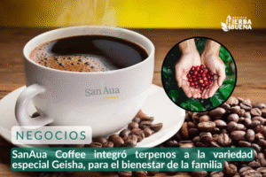 SanAua Coffee integró terpenos a la variedad especial Geisha, para el bienestar de la familia