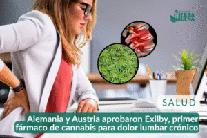 Alemania y Austria aprobaron Exilby, primer fármaco de cannabis para dolor lumbar crónico