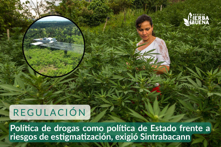 Política de drogas como política de Estado frente a riesgos de estigmatización, exigió Sintrabacann