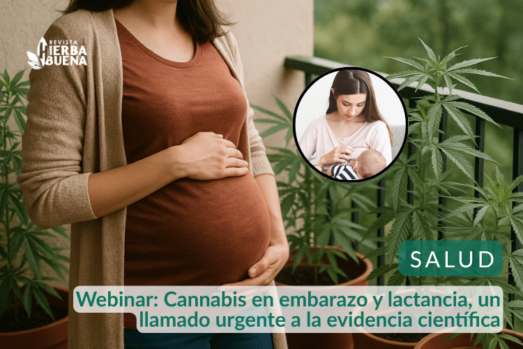 Webinar: Cannabis en embarazo y lactancia, un llamado urgente a la evidencia científica
