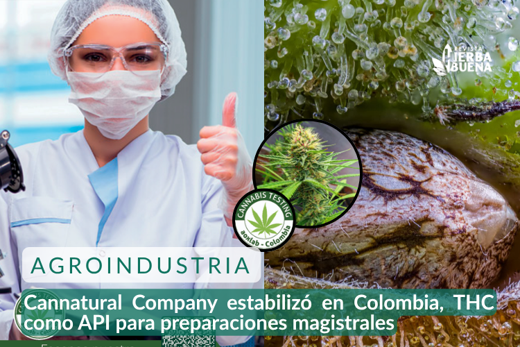 Cannatural Company estabilizó en Colombia, THC como API farmacéutico para preparaciones magistrales
