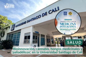 Bioinnovación, cannabis, hongos medicinales y ‘paliadélicos’, en la Universidad Santiago de Cali