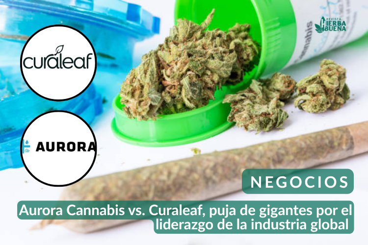 Aurora Cannabis vs. Curaleaf, puja de gigantes por el liderazgo de la industria global