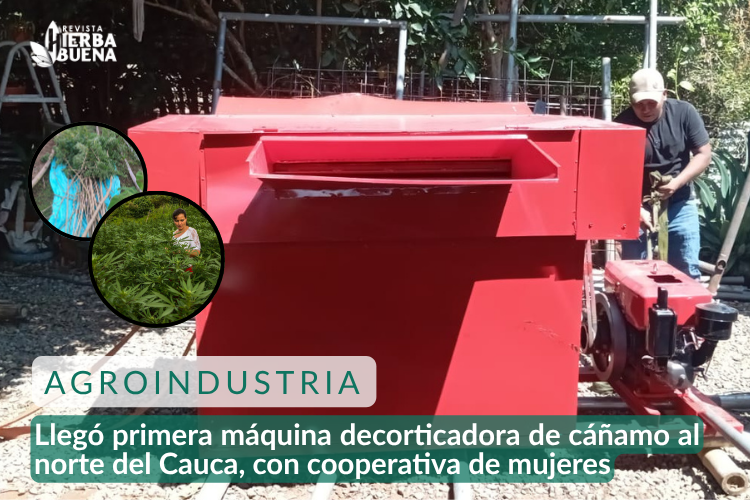 Llegó máquina decorticadora de cáñamo al norte del Cauca, con la cooperativa de mujeres, Renovando Saberes