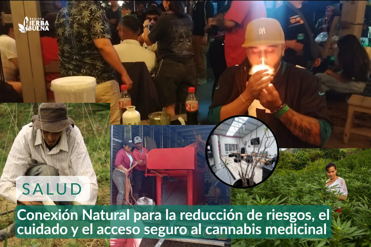 Conexión Natural para la reducción de riesgos, el cuidado y el acceso seguro al cannabis medicinal