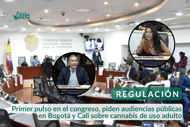 Primer pulso en el congreso, piden audiencias públicas en Bogotá y Cali sobre cannabis de uso adulto