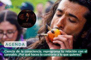 Ciencia de la consciencia, reprograma tu relación con el cannabis ¿Por qué haces lo contrario a lo que quieres?