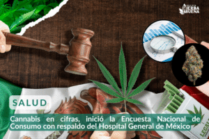 Cannabis en cifras, inició la Encuesta Nacional de Consumo con respaldo del Hospital General de México