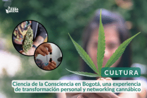 Ciencia de la Consciencia en Bogotá, una experiencia de transformación personal y networking cannábico