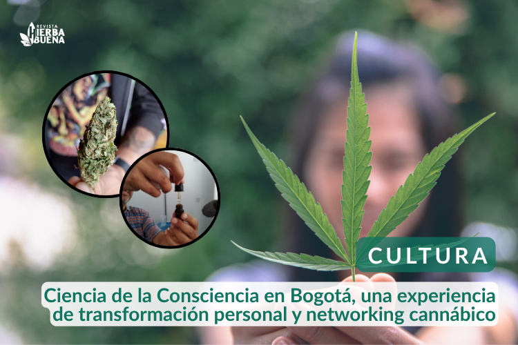 Ciencia de la Consciencia en Bogotá, una experiencia de transformación personal y networking cannábico