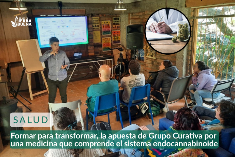 Formar para transformar, la apuesta de Grupo Curativa por una medicina que comprende el sistema endocannabinoide