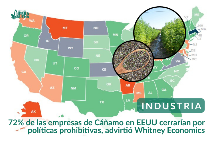 72% de las empresas de Cáñamo en EEUU cerrarían por políticas prohibitivas, advirtió Whitney Economics