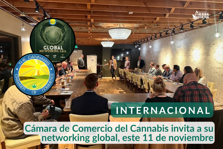 Cámara de Comercio del Cannabis invita a su networking global, oportunidades en Latinoamérica, Europa y África, este 11 de noviembre
