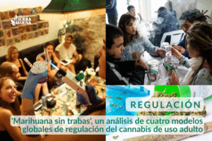 'Marihuana sin trabas', un análisis de cuatro modelos globales de regulación del cannabis de uso adulto