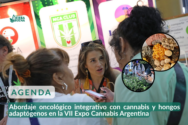 Abordaje oncológico integrativo con cannabis y hongos adaptógenos en la VII Expo Cannabis Argentina